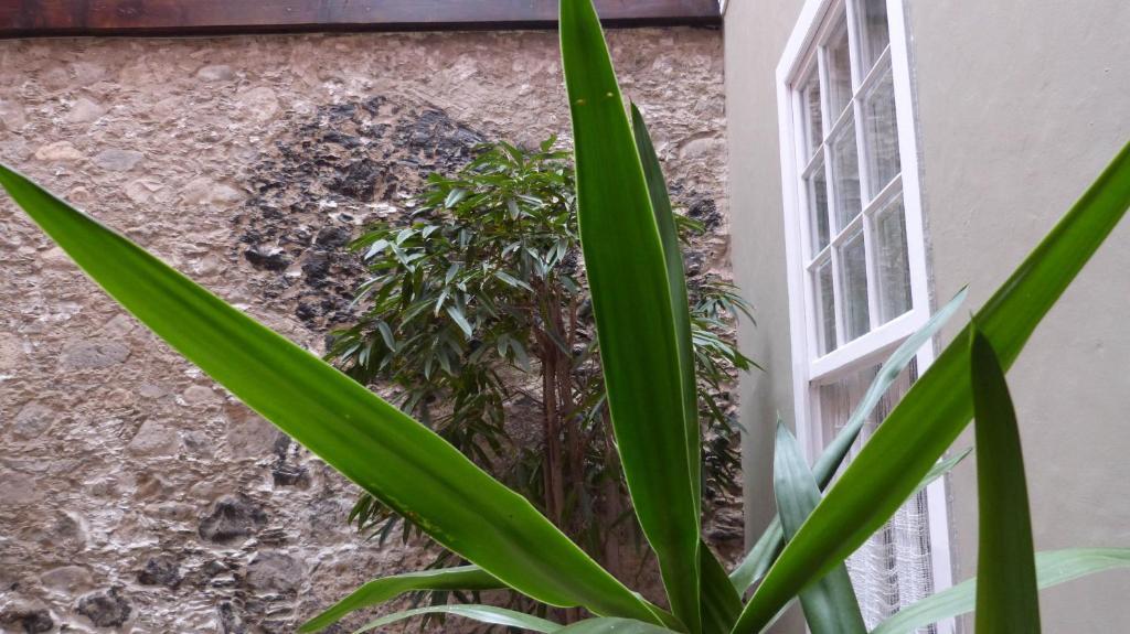 La Casa De Vegueta Leilighet Las Palmas de Gran Canaria Eksteriør bilde