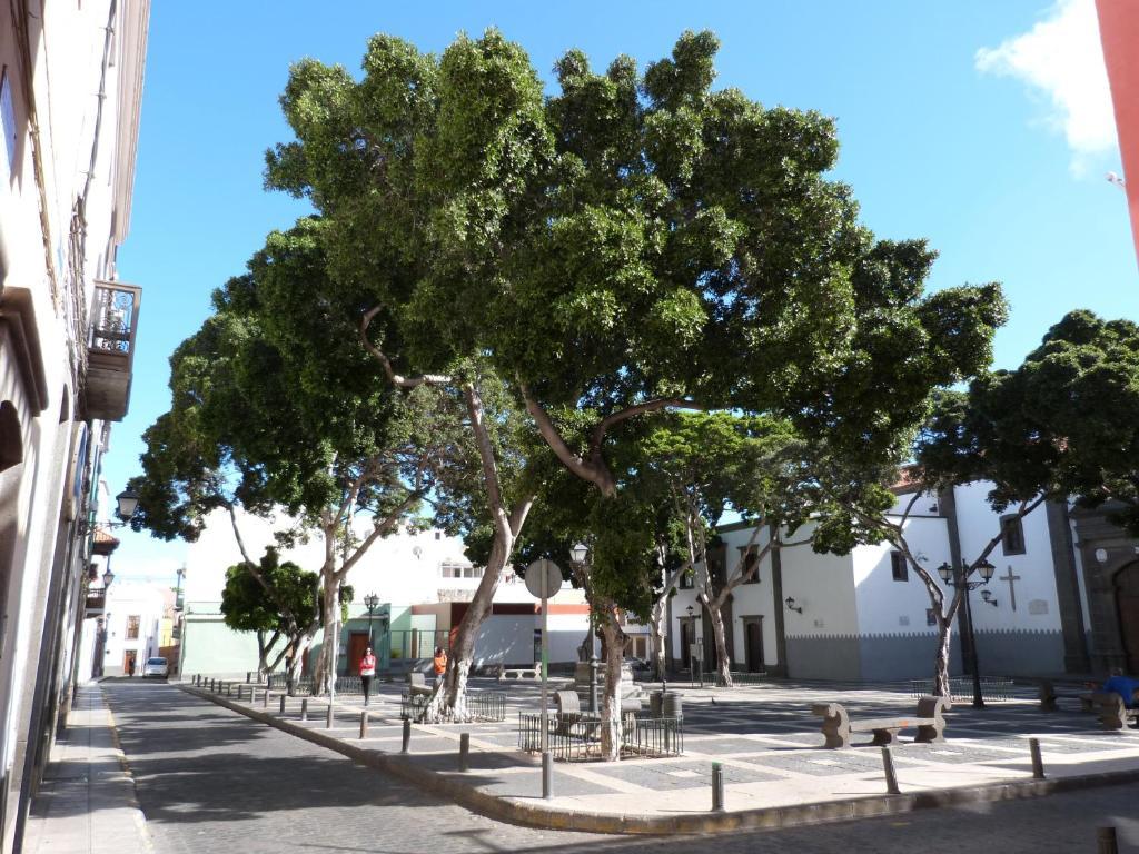 La Casa De Vegueta Leilighet Las Palmas de Gran Canaria Eksteriør bilde
